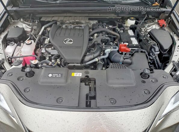 2T2GGCEZ2SC081249 2025 LEXUS NX Gray Vista del compartimento del motor