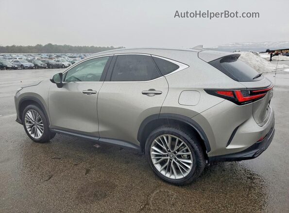 2T2GGCEZ2SC081249 2025 LEXUS NX Gray Trasero izquierdo