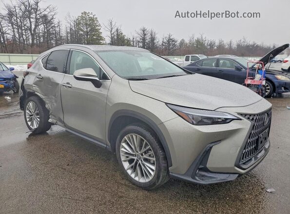 2T2GGCEZ2SC081249 2025 LEXUS NX Gray Delantero derecho