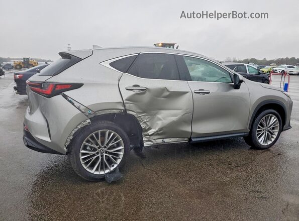 2T2GGCEZ2SC081249 2025 LEXUS NX Gray Trasero derecho