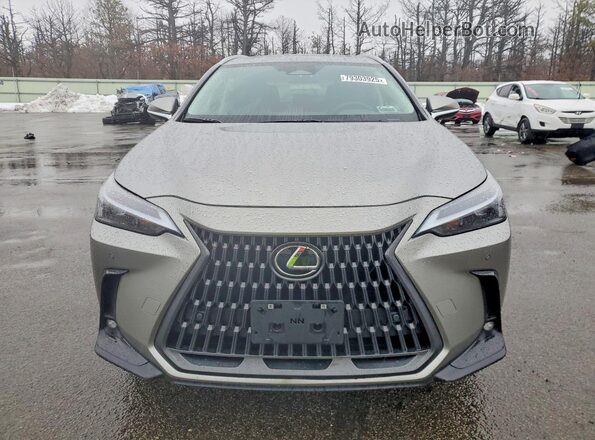 2T2GGCEZ2SC081249 2025 LEXUS NX Gray Vista frontal