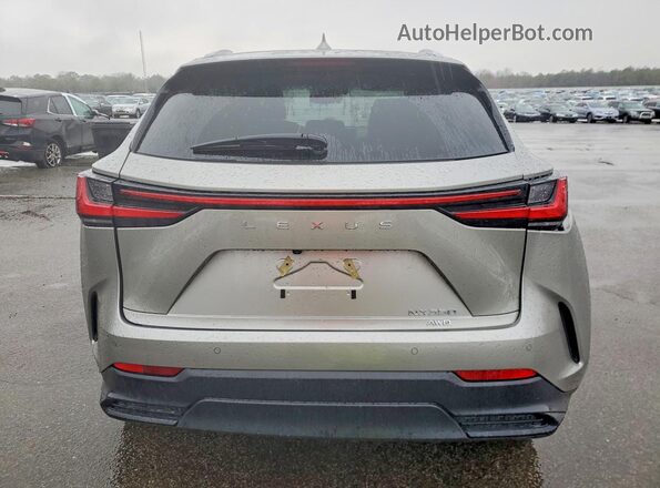 2T2GGCEZ2SC081249 2025 LEXUS NX Gray Vista trasera