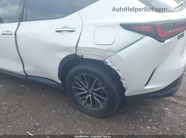 2T2GGCEZ2SC092431 2025 LEXUS NX 350 White 