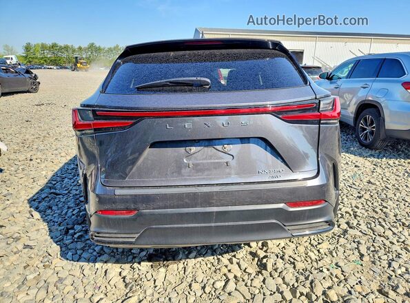 2T2GGCEZ3RC048108 2024 LEXUS NX Серый Вид сзади
