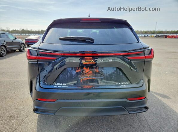 2T2GGCEZ3RC056032 2024 LEXUS NX Black Вид ззаду