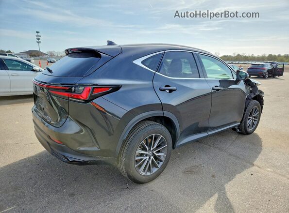 2T2GGCEZ3RC056032 2024 LEXUS NX Black Задня права чверть