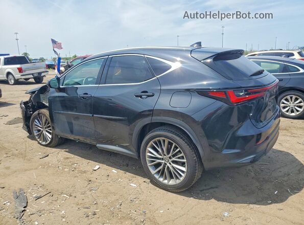 2T2GGCEZ4NC001034 2022 LEXUS NX Black Հետևի ձախ