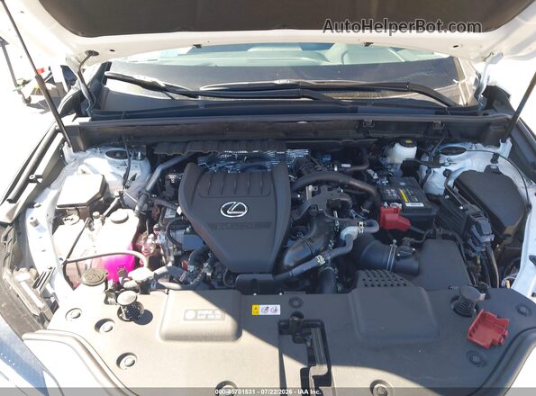 2T2GGCEZ4TC101115 2026 LEXUS NX 350 Белый Вид сзади