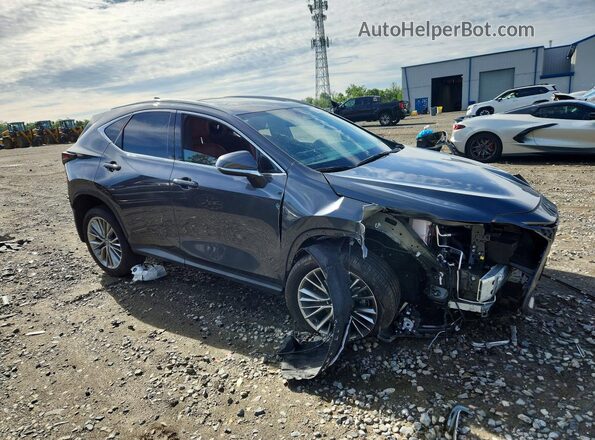 2T2GGCEZ5SC092925 2025 LEXUS NX Gray Առջևի աջ