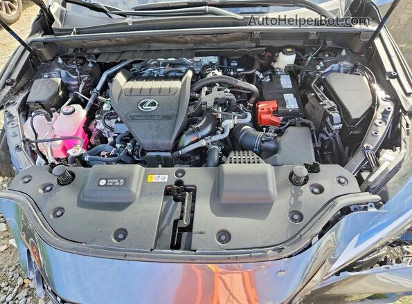 2T2GGCEZ5SC092925 2025 LEXUS NX Gray Սալոնի հետևի տեսք