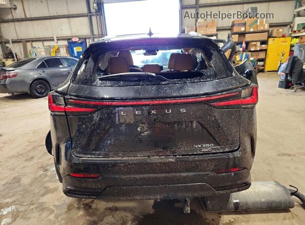 2T2GGCEZ6SC089452 2025 LEXUS NX Black Vista trasera