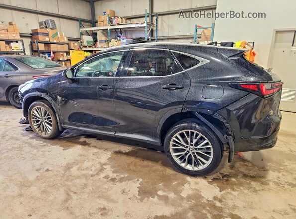 2T2GGCEZ6SC089452 2025 LEXUS NX Black Trasero izquierdo
