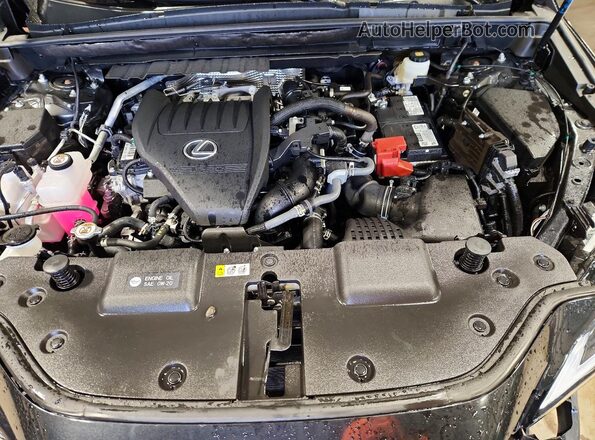 2T2GGCEZ6SC089452 2025 LEXUS NX Black Vista del compartimento del motor