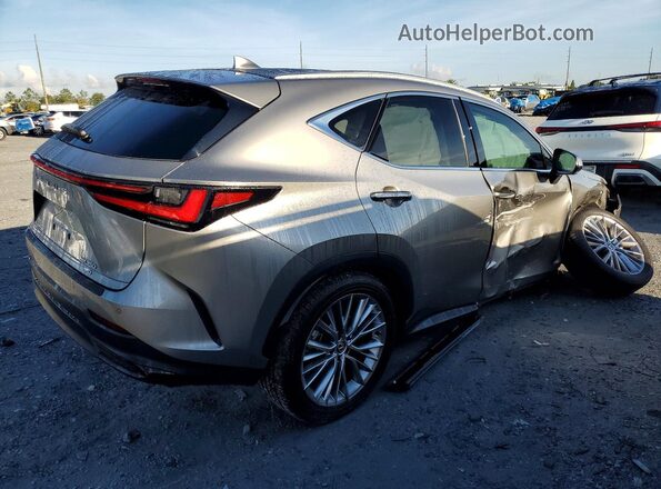 2T2GGCEZ7SC072904 2025 LEXUS NX Silver Задня права чверть