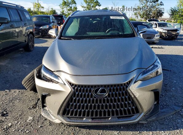 2T2GGCEZ7SC072904 2025 LEXUS NX Silver Вид спереду