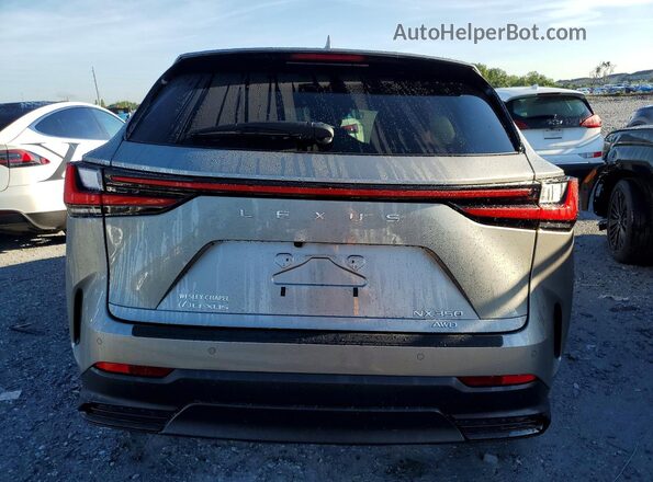 2T2GGCEZ7SC072904 2025 LEXUS NX Silver Вид ззаду