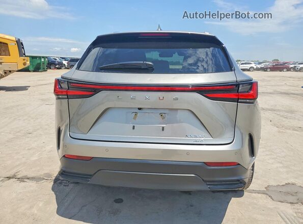 2T2GGCEZ7SC082557 2025 LEXUS NX Silver Rear view