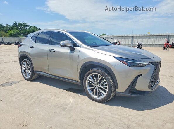 2T2GGCEZ7SC082557 2025 LEXUS NX Silver Front right