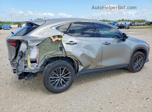 2T2GGCEZ8PC020026 2023 LEXUS NX Silver Հետևի աջ