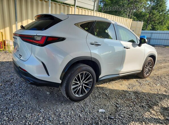 2T2GGCEZ8SC077254 2025 LEXUS NX White Задня права чверть