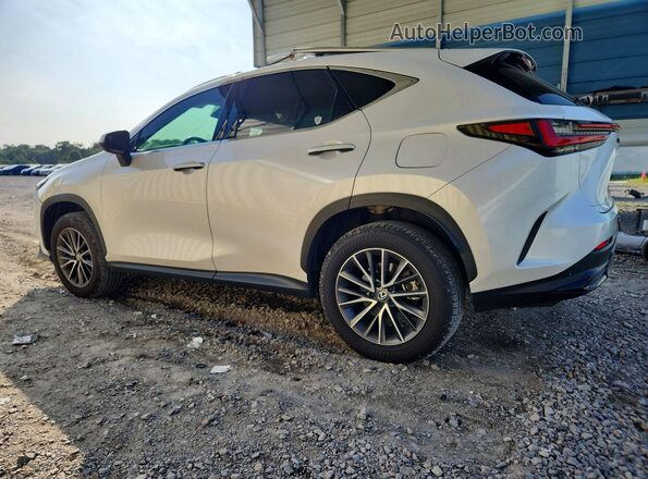 2T2GGCEZ8SC077254 2025 LEXUS NX White Задня ліва чверть
