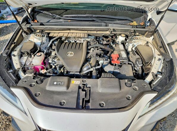 2T2GGCEZ8SC077254 2025 LEXUS NX White Вид підкапотного простору