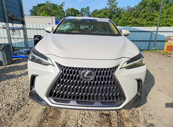 2T2GGCEZ8SC077254 2025 LEXUS NX White Вид спереду