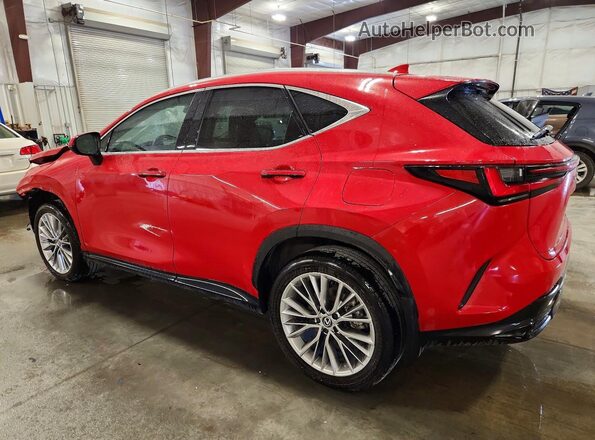 2T2GGCEZ8SC086181 2025 LEXUS NX Red Задня ліва чверть