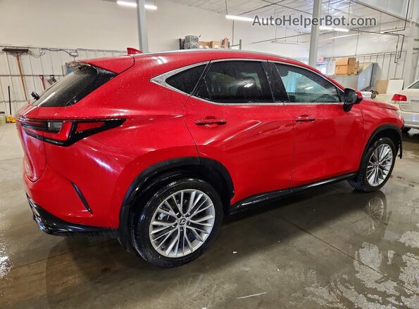 2T2GGCEZ8SC086181 2025 LEXUS NX Red Задня права чверть