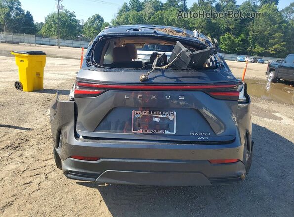 2T2GGCEZXNC009896 2022 LEXUS NX Серый Вид сзади
