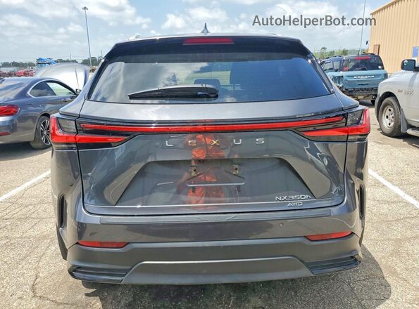 2T2GKCEZ2PC012339 2023 LEXUS NX Gray Vista trasera