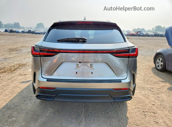 2T2GKCEZ2RC028513 2024 LEXUS NX Серебряный Вид сзади