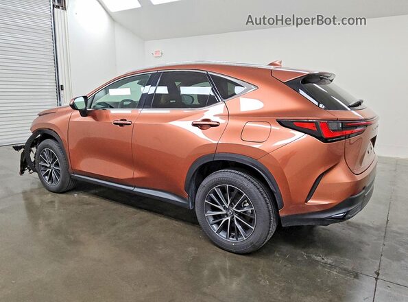 2T2GKCEZ2SC049786 2025 LEXUS NX Brown Задня ліва чверть