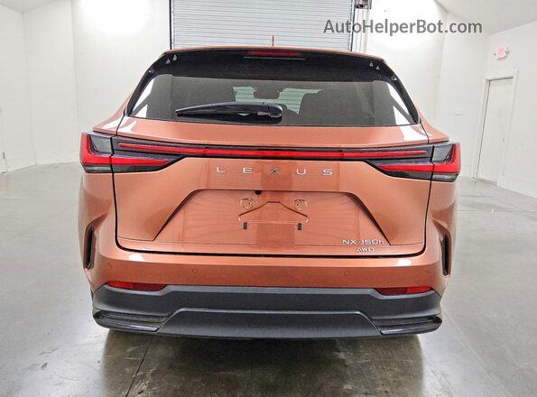 2T2GKCEZ2SC049786 2025 LEXUS NX Brown Вид ззаду