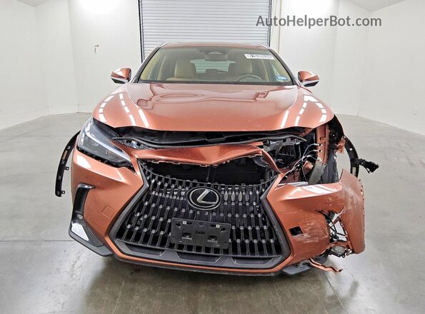 2T2GKCEZ2SC049786 2025 LEXUS NX Brown Вид спереду