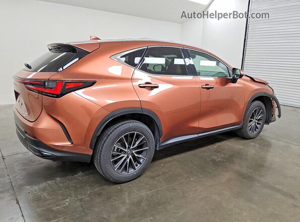 2T2GKCEZ2SC049786 2025 LEXUS NX Brown Задня права чверть