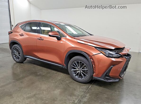 2T2GKCEZ2SC049786 2025 LEXUS NX Brown Передня права чверть
