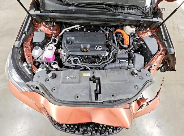 2T2GKCEZ2SC049786 2025 LEXUS NX Brown Вид підкапотного простору