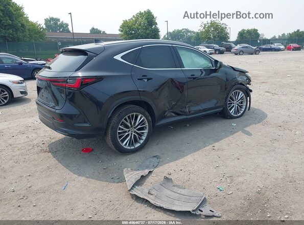 2T2GKCEZ3SC036383 2025 LEXUS NX 350H Black Задня права чверть