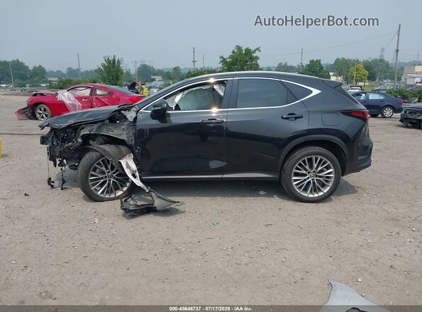 2T2GKCEZ3SC036383 2025 LEXUS NX 350H Black Панорамний вид салону 360°