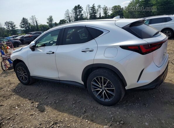 2T2GKCEZ4RC021014 2024 LEXUS NX Белый Задняя левая четверть