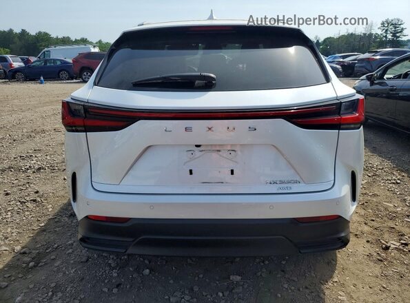 2T2GKCEZ4RC021014 2024 LEXUS NX Белый Вид сзади