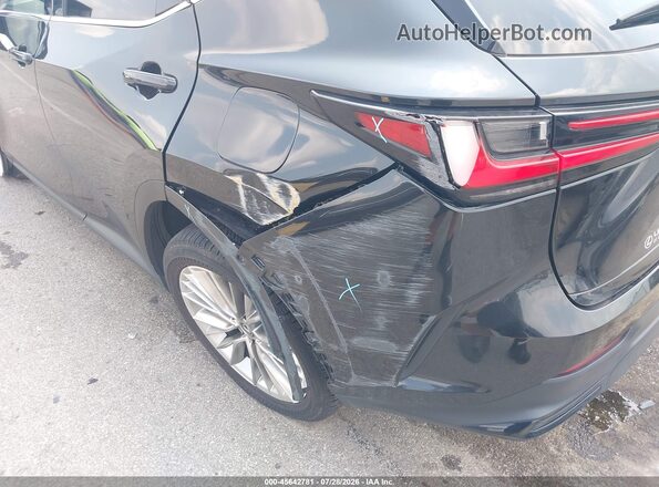 2T2GKCEZ4SC055346 2025 LEXUS NX 350H Black 