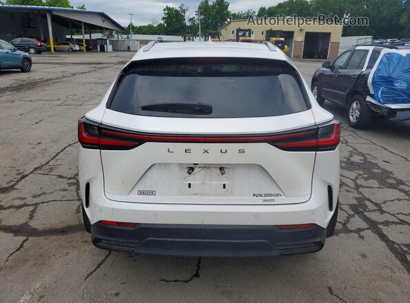 2T2GKCEZ5NC007441 2022 LEXUS NX Белый Вид сзади