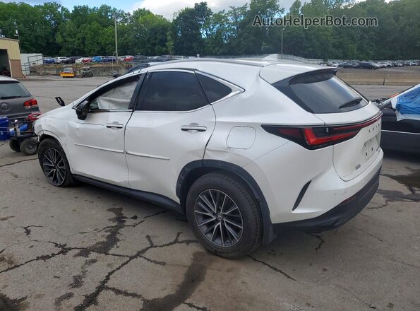 2T2GKCEZ5NC007441 2022 LEXUS NX Белый Задняя левая четверть