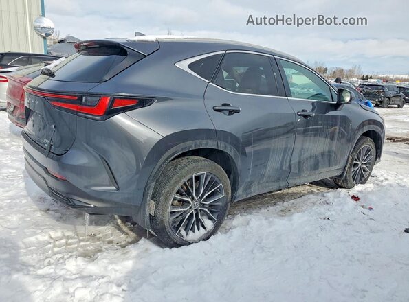 2T2GKCEZ7NC003830 2022 LEXUS NX Gray Trasero derecho