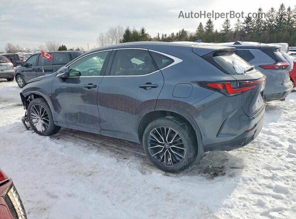 2T2GKCEZ7NC003830 2022 LEXUS NX Gray Trasero izquierdo