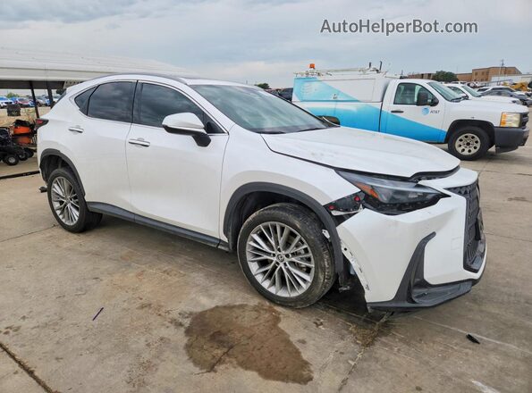 2T2GKCEZ7PC010652 2023 LEXUS NX White Առջևի աջ