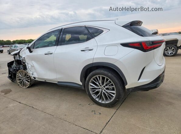 2T2GKCEZ7PC010652 2023 LEXUS NX White Հետևի ձախ