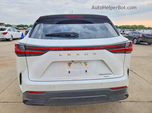2T2GKCEZ7PC010652 2023 LEXUS NX White Հետևի տեսք